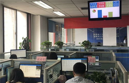 陜西舉辦2020年12333全國統(tǒng)一咨詢?nèi)栈顒樱嵘畔⒆稍兎?wù)效能